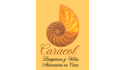 logo Lámparas y Velas Caracol