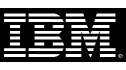 logo de IBM de México