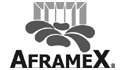 logo de Aframex