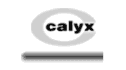 logo Calyx Chemicals & Pharmaceuticals Pvt. Ltd.