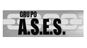 Asesoría en Servicios y Equipos de Seguridad, S.A. de C.V. GRUPO A.S.E.S.