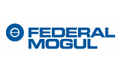logo Federal Mogul