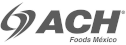 logo de ACH Foods Mexico