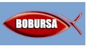 logo Servicios y Suministros Industriales Bobur