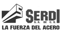 logo de Serdi