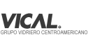 logo de Vidreria Guatemalteca