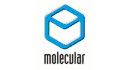 logo Molecular Products Inc.