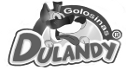 logo de Dulandy Golosinas