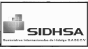 logo de suministros internacionales de hidalgo