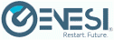 logo Genesi Networks Consulting