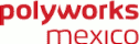 logo Polyworks México Metrología