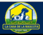 logo Disanmex