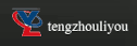 logo de Tengzhou Liyou Plastic Industry Co.
